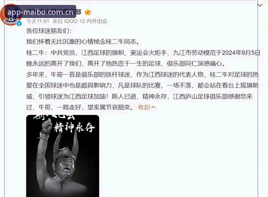 资深球迷分享：德国队世界杯大名单深度剖析与观赛心得